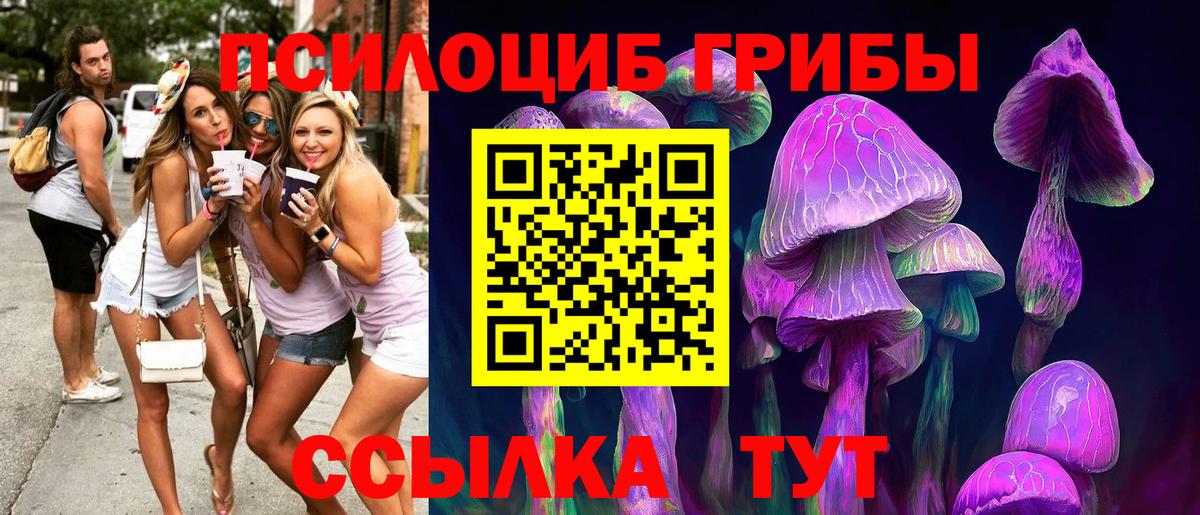 Галлюциногенные грибы Magic Shrooms  Галлюциногенные грибы Psilocybe  Сургут  Вход с VPN 